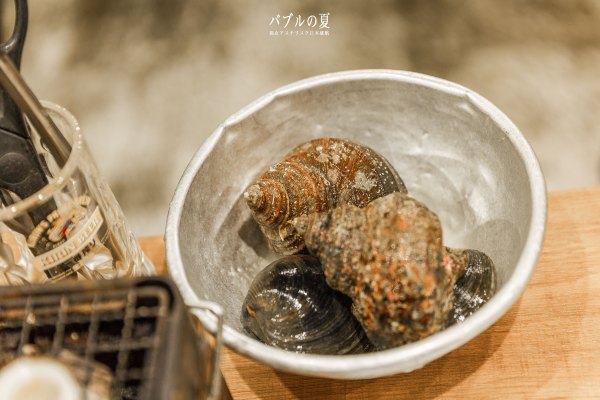 「丽星邮轮」日本，再一次漂洋过海来看你