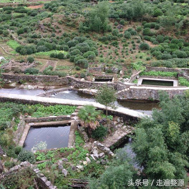 婺源千年茶乡,中国最美乡村婺源有什么美食
