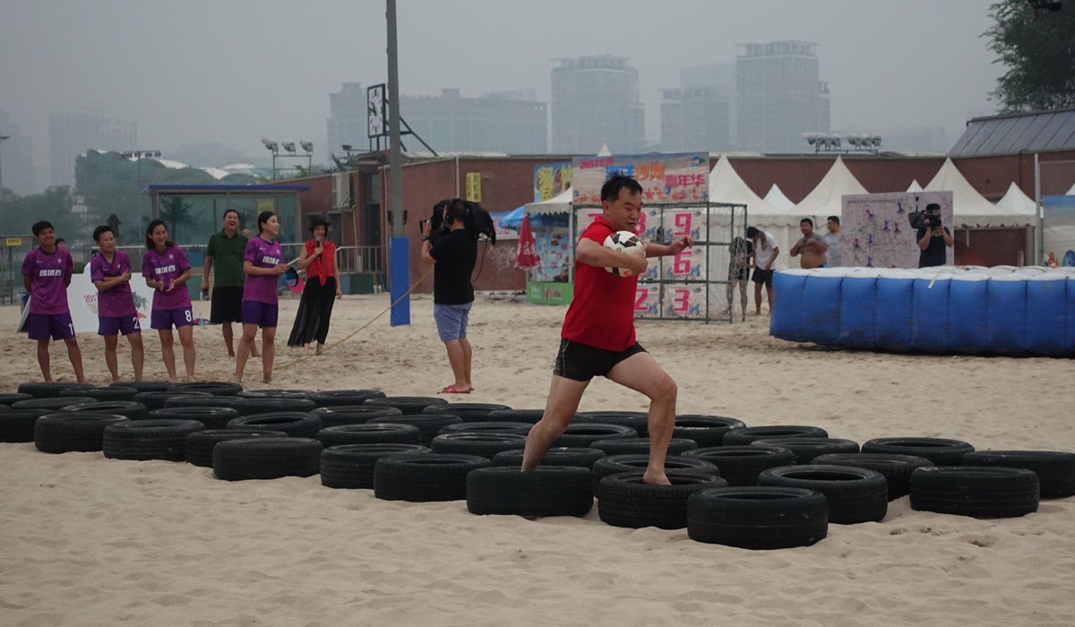 汪星人大战螃蟹,汪星人大战龙虾