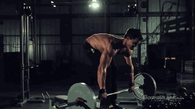 健身大叔健身房练背部最好的动作,健身男模背影高清图片