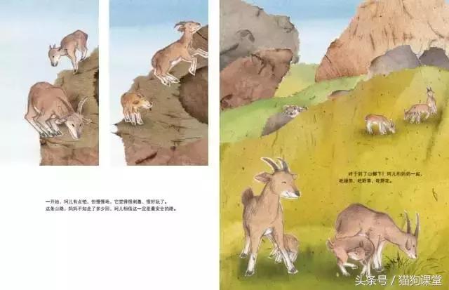 在动物园如何给孩子科普动物知识,7-12岁儿童动物世界科普