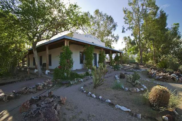 在国外的*麻大**竟然如此成灾！（*麻大**主题城市、世界*麻大**日）