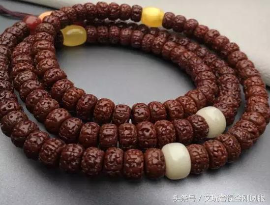 小金刚菩提清理到什么程度,小金刚菩提下水怎么清理