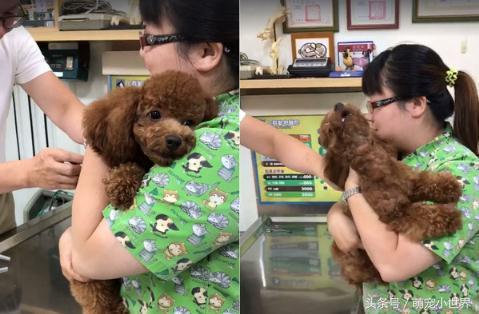 肠胃炎打了一针第二天脑袋昏,肠胃炎打针后依然疼