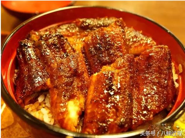 鳗鱼的智商有多高,鳗鱼的神奇之处