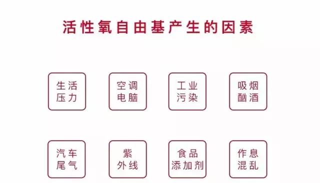 一款神奇高科技富氢水杯,能造水的神奇水杯