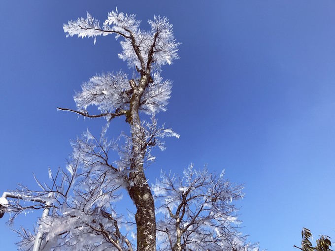 七天六晚长沙张家界吃货视角带你领略冰天雪地的张家