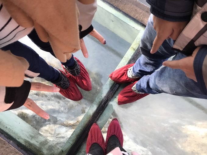 七天六晚长沙张家界吃货视角带你领略冰天雪地的张家