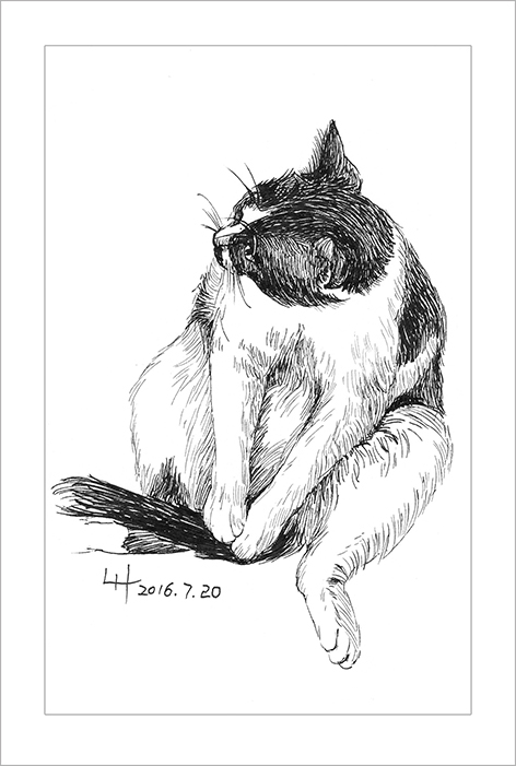 钢笔画动物昆虫,钢笔画家禽速写