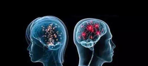 人类大脑都一样吗,人类大脑与人工智能