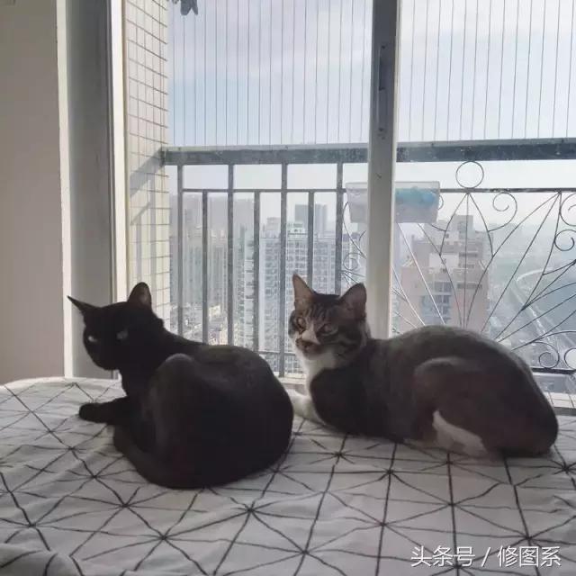 修图师会用哪些修图软件,修图师都用ps么