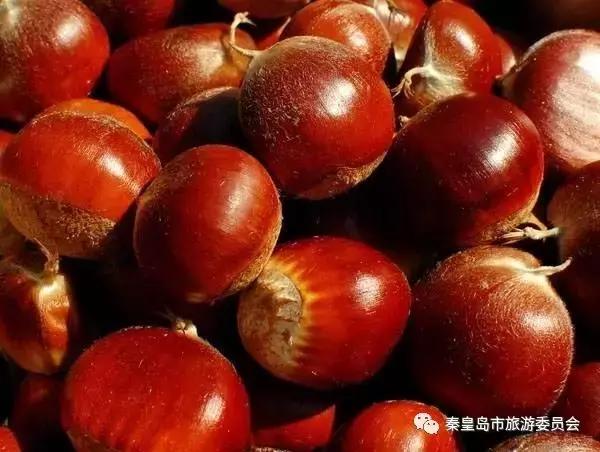 秦皇岛的特产有哪些,秦皇岛拿得出手的特产有哪些