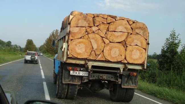 25张治疗强迫症的照片，看完瞬间被治愈了