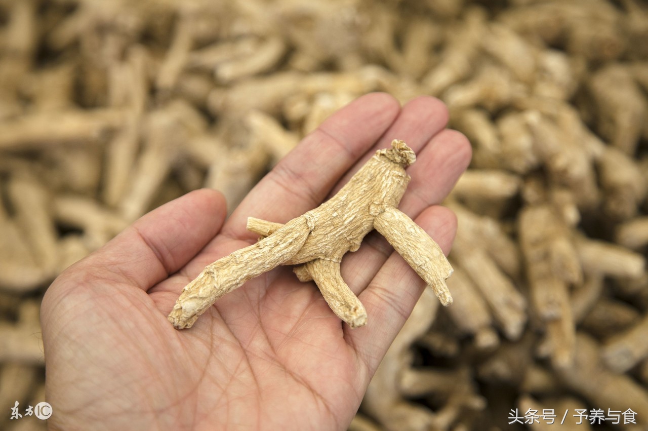 西洋参什么人不能食用,西洋参的营养价值与功效与禁忌