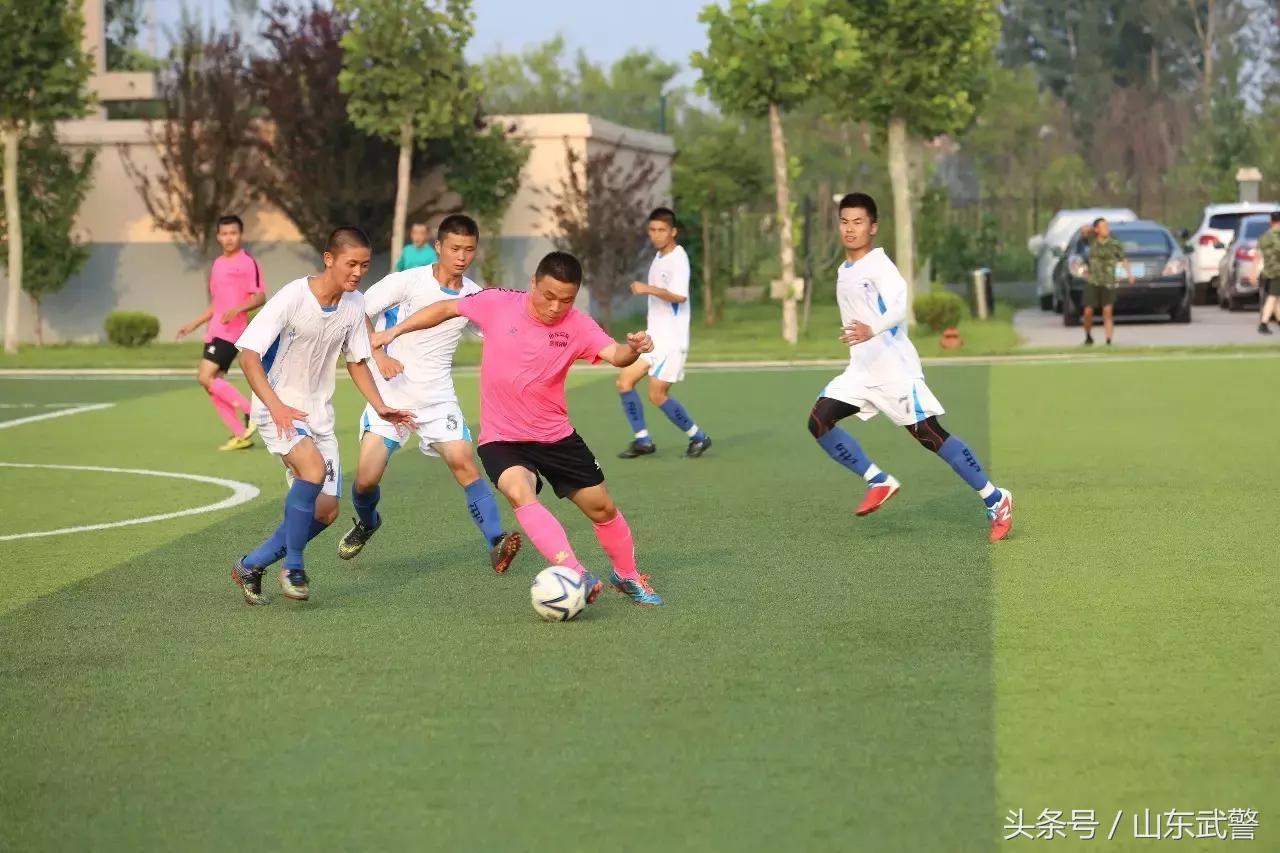 卫士动力视频,卫士动力杯