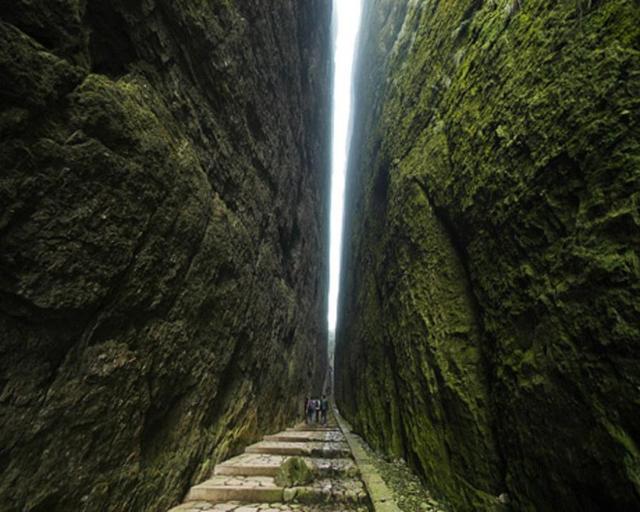 张家界玻璃桥大峡谷攻略和费用,张家界大峡谷玻璃桥值得去吗