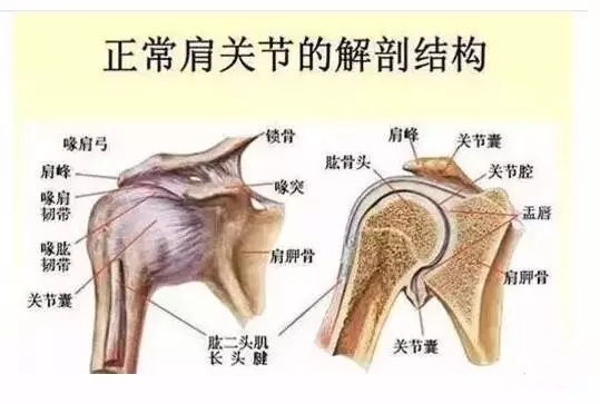 疼痛定位怎么做,疼痛治疗初期药物剂量调整