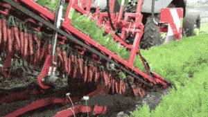 一招教你神龙摆尾,一招神龙摆尾