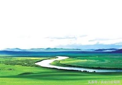 高端农业6大商业模式,农业创业五大经营模式