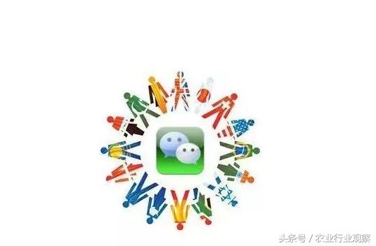 高端农业6大商业模式,农业创业五大经营模式