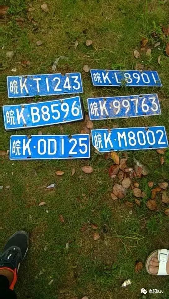 暴雨后车牌丢失去哪里找,暴雨过后车牌丢了怎么补