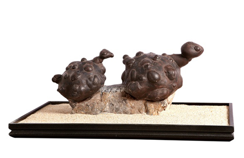 长满小疙瘩的石头,浑身起的密密麻麻的疙瘩不痒