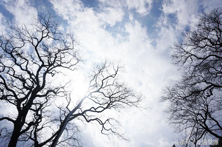 婺源千年茶乡,中国最美乡村婺源有什么美食