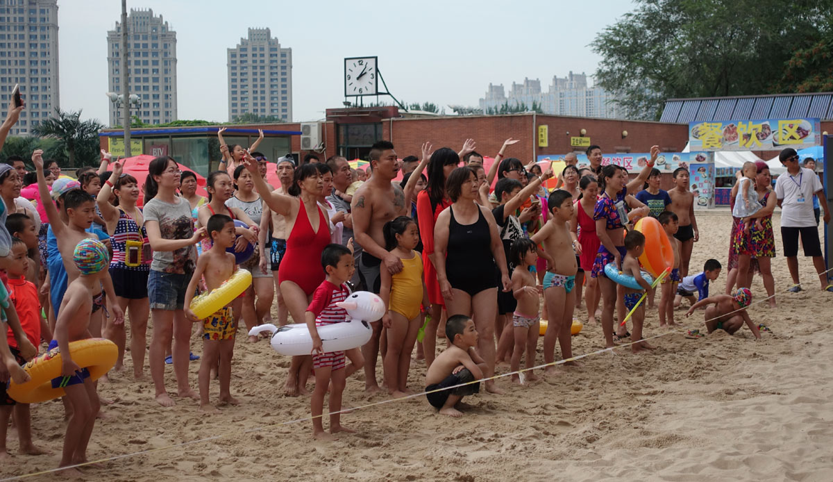 汪星人大战螃蟹,汪星人大战龙虾