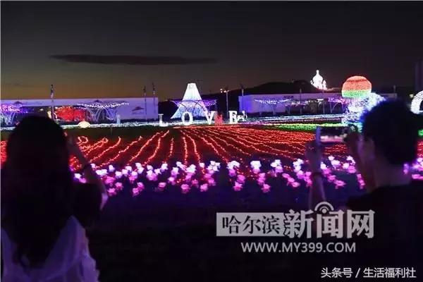 今天哈尔滨哪里免门票,2019哈尔滨免费优惠活动