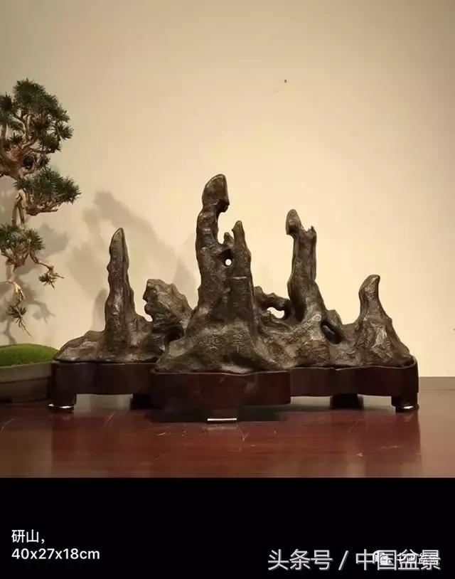 盆景的意境之美,优雅的盆景