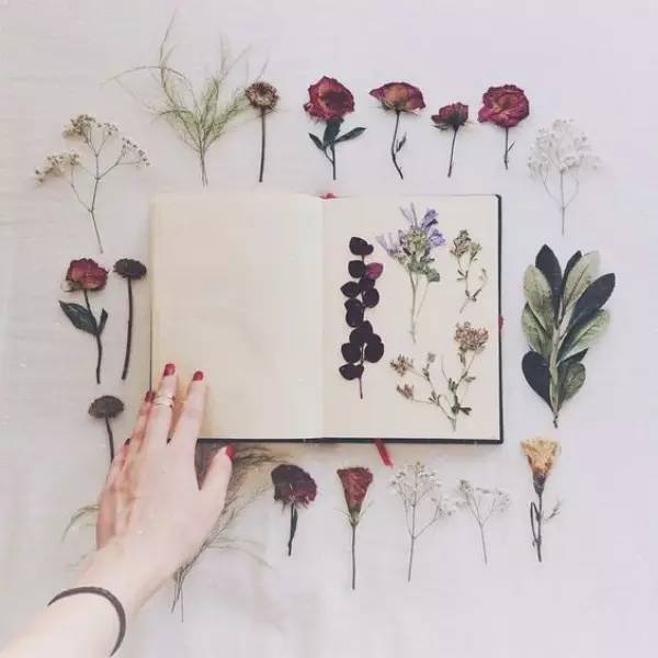 干花怎么做才能更好看,干花制作方法以及装饰方式