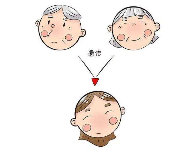 遗传性脱发遗传父亲还是母亲,遗传性脱发一定会遗传给儿子吗