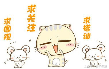 铃木SX4隔音升级，炎炎夏日赶紧给爱车做做隔音隔热吧！