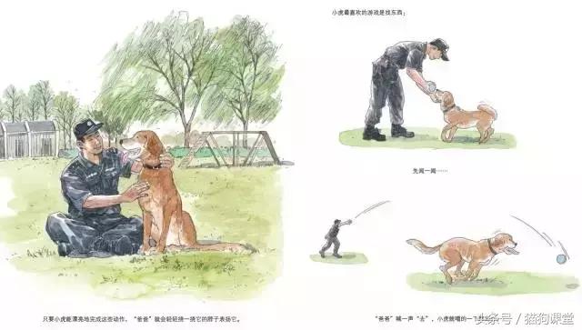 在动物园如何给孩子科普动物知识,7-12岁儿童动物世界科普