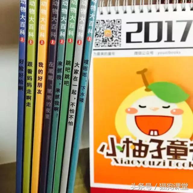 在动物园如何给孩子科普动物知识,7-12岁儿童动物世界科普