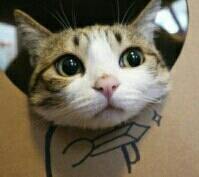 最囧烧脑坑爹游戏小游戏,最火小游戏最囧游戏2攻略