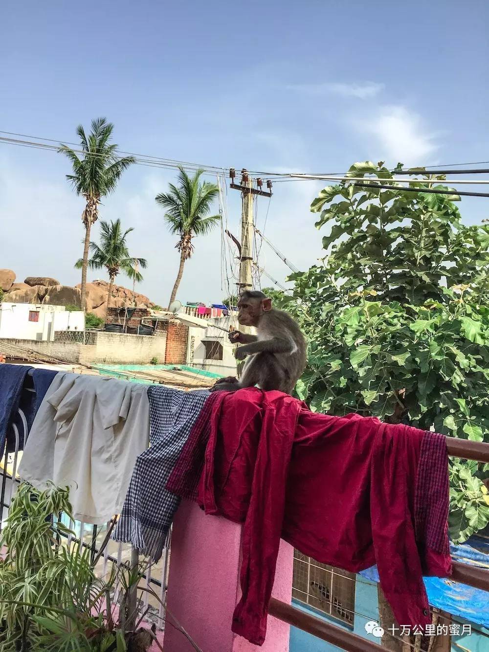 环游世界要花多少钱,环游世界应该去多少个国家