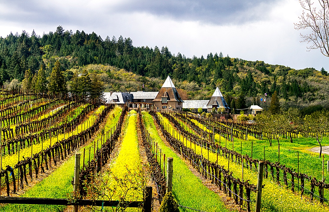 《男侍者和花花小姐》：一个好色的酒店侍者的秘密