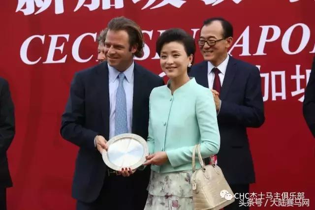 国际驭马文化节展示,cecf国际驭马文化节