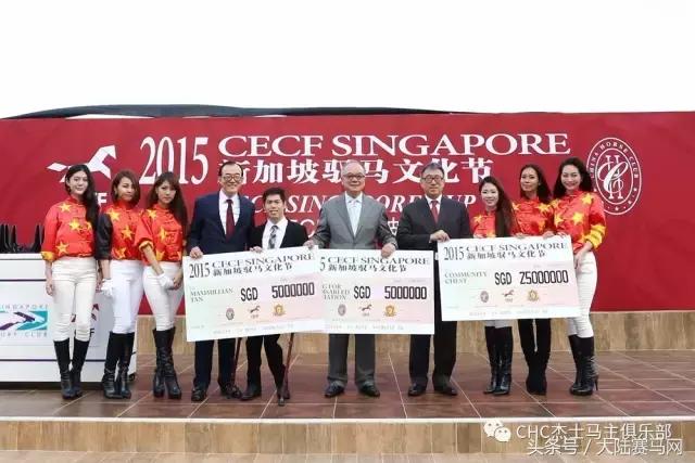 国际驭马文化节展示,cecf国际驭马文化节