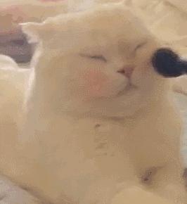 五款好气色腮红一秒妆出元气美肌,腮红怎么用才能显得元气满满的