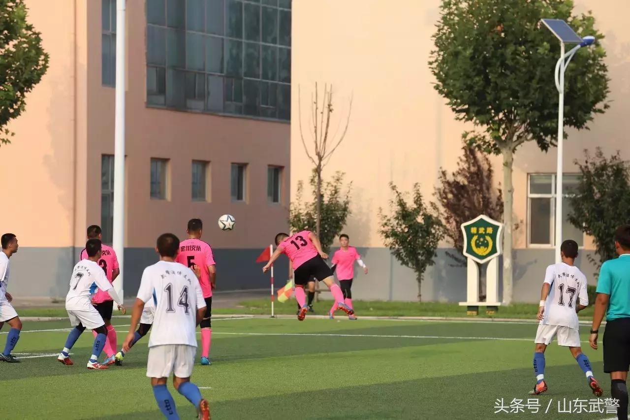 卫士动力视频,卫士动力杯