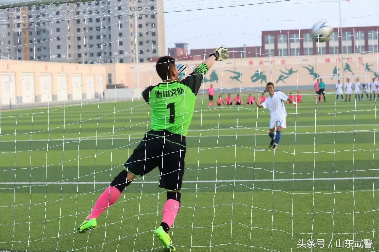 卫士动力视频,卫士动力杯