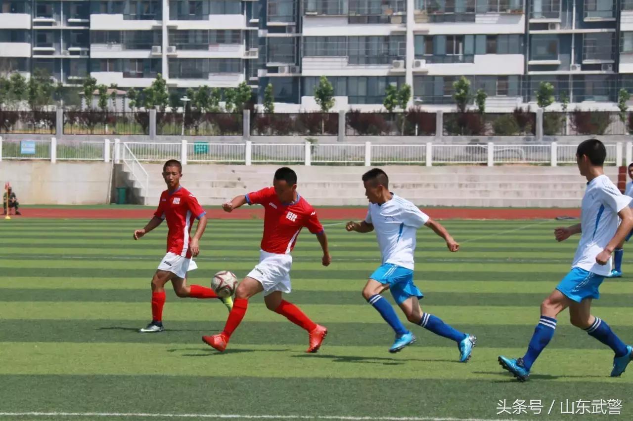 卫士动力视频,卫士动力杯