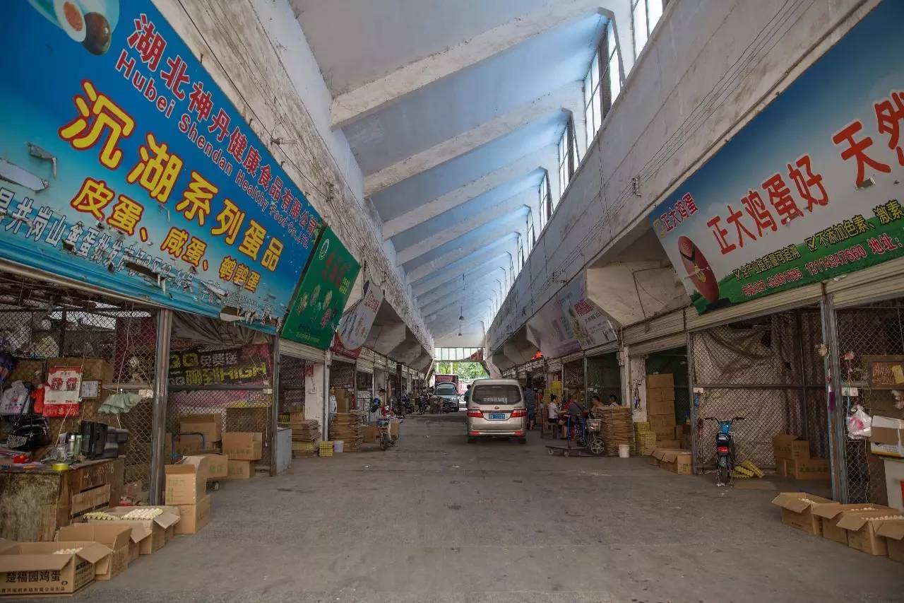 你好家乡的南湖,你好南湖红船