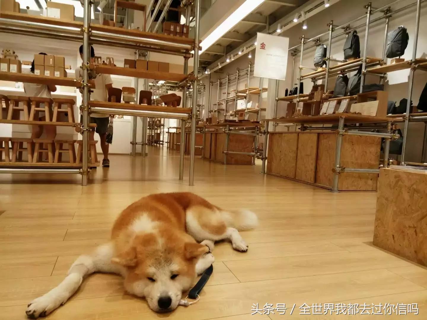 广州小资杂货铺,广州值得去的冷门店