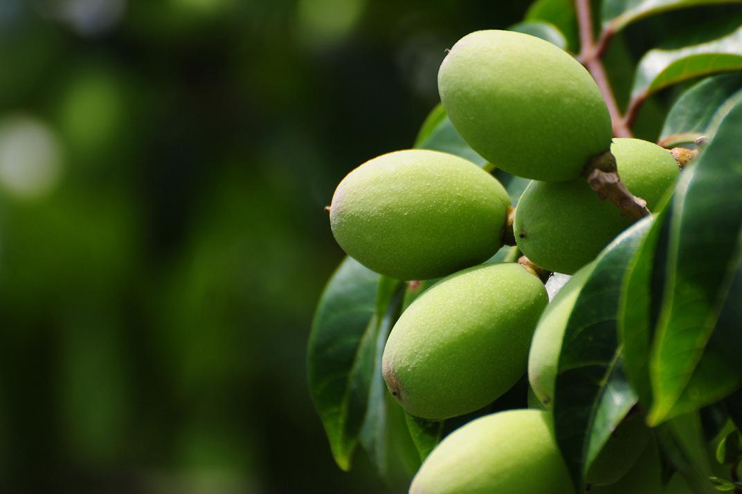外国看中国食品安全,国外食品健康安全吗