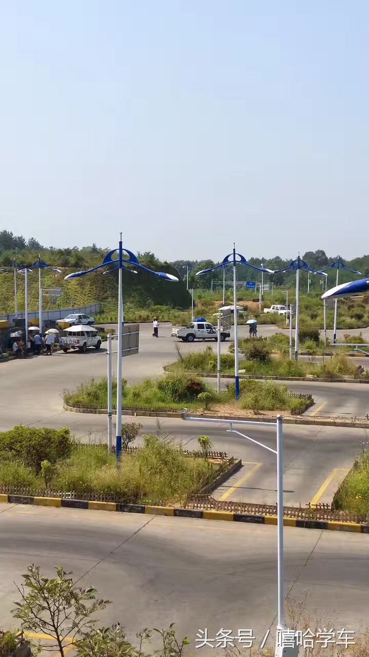 松阳成为浙江首个“电子教练”试点