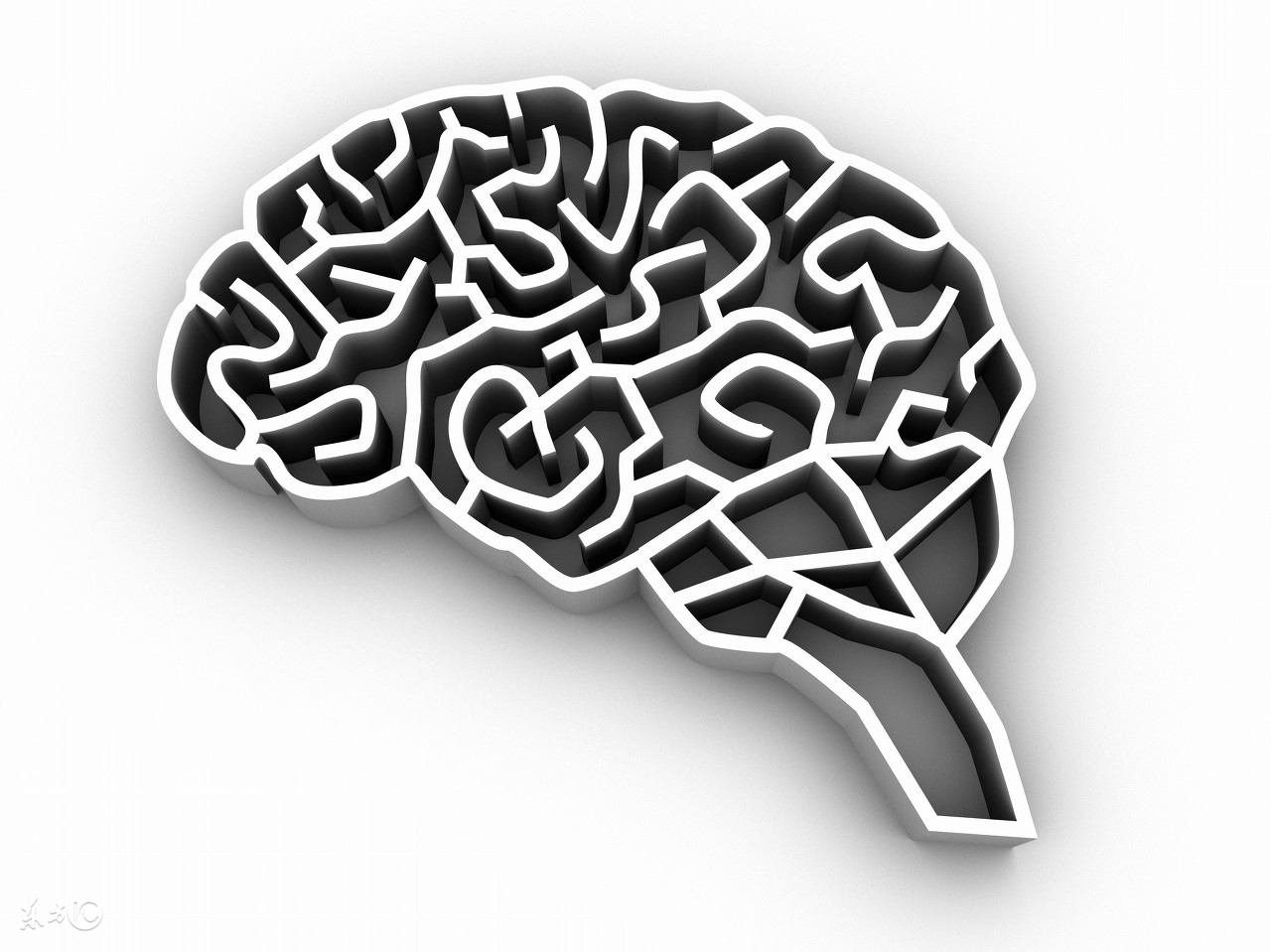 人类大脑都一样吗,人类大脑与人工智能