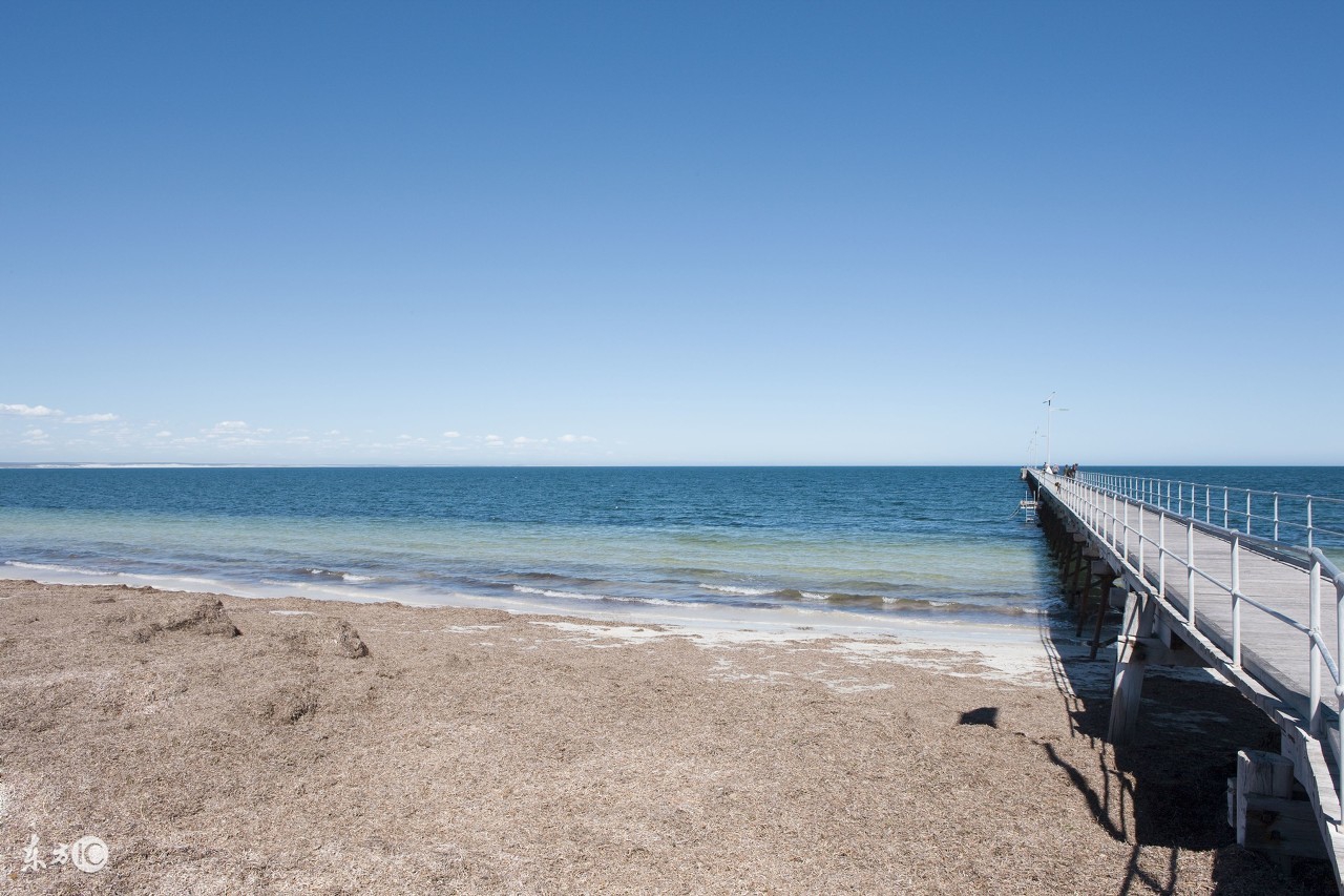 英语初三全一册3单元语法,初三英语全一册人教版课文